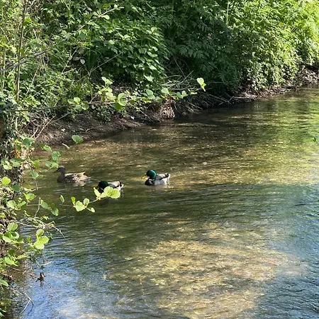 アパート Moulin La Paille Veyre-Monton