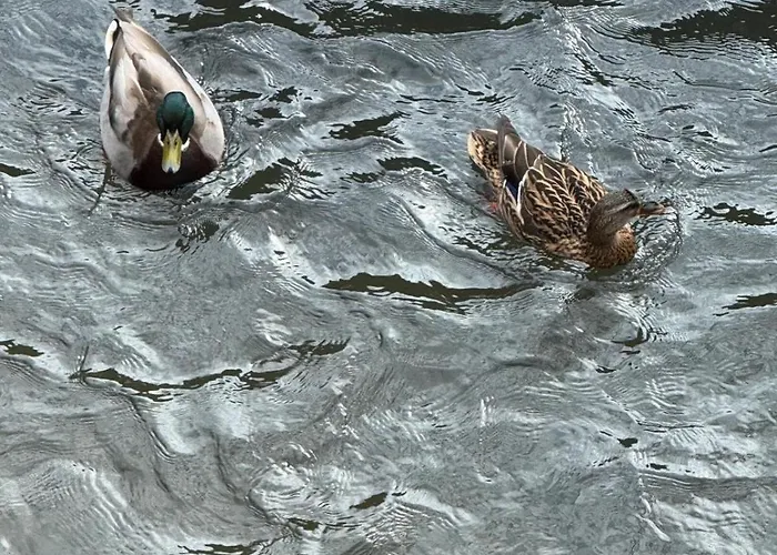 Moulin La Paille Apartament Veyre-Monton